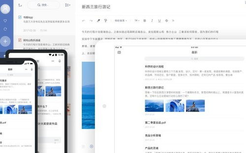 2024年網(wǎng)易有道軟件排行榜、免費試用技巧與設(shè)計開發(fā)趨勢全解析